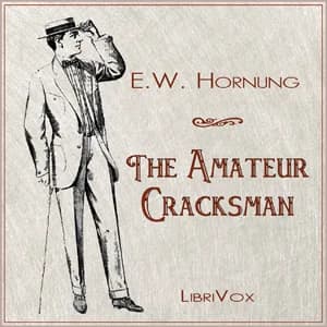 Amateur Cracksman