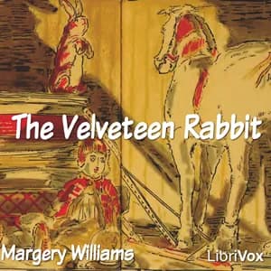 Velveteen Rabbit (version 2)