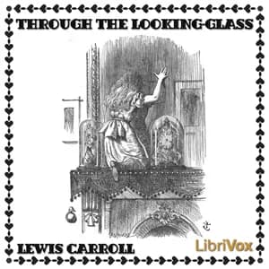 Through the Looking-Glass