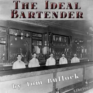 Ideal Bartender