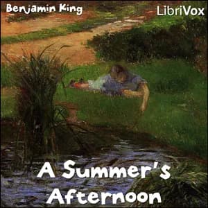 Summer's Afternoon