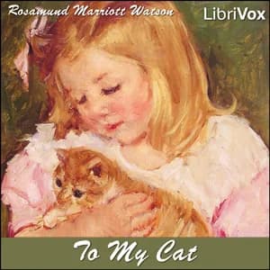 To My Cat