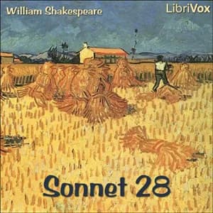 Sonnet 028