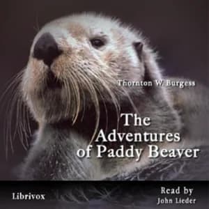 Adventures of Paddy Beaver
