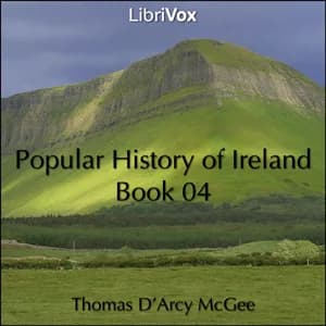 Popular History of Ireland, Book 04