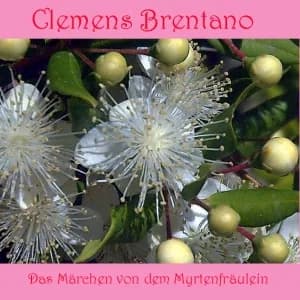 Märchen von dem Myrtenfräulein