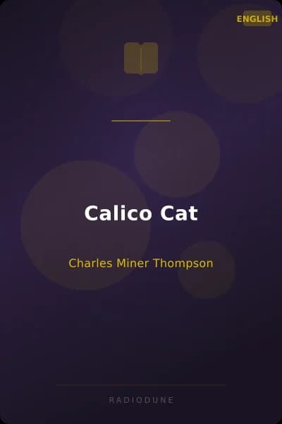 Calico Cat