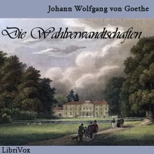 Wahlverwandtschaften