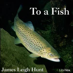 To a Fish