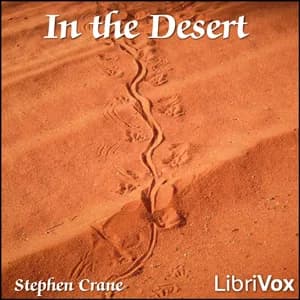 In the Desert
