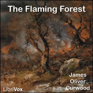 Flaming Forest