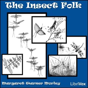 Insect Folk