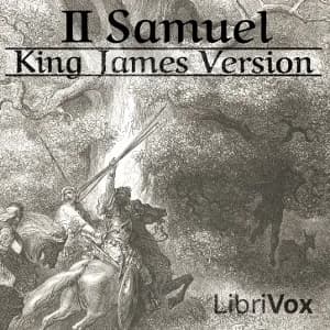 Bible (KJV) 10: 2 Samuel