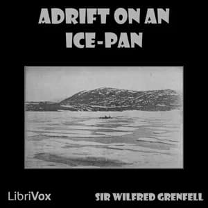 Adrift on an Ice-Pan