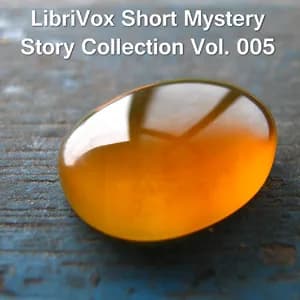 Short Mystery Story Collection 005