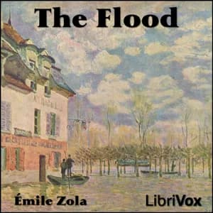 Flood