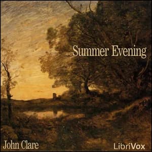 Summer Evening