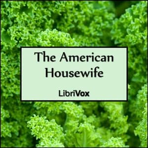 American Housewife