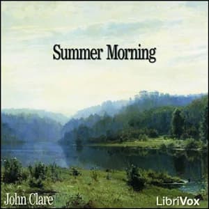 Summer Morning