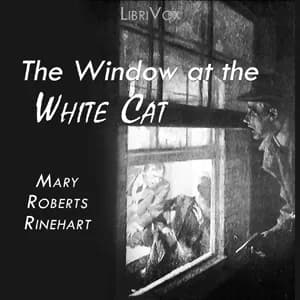 Window at the White Cat