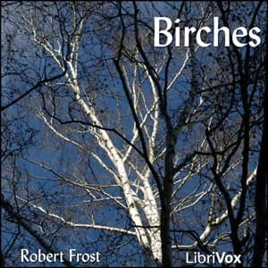 Birches