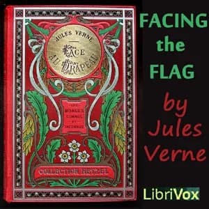 Facing the Flag