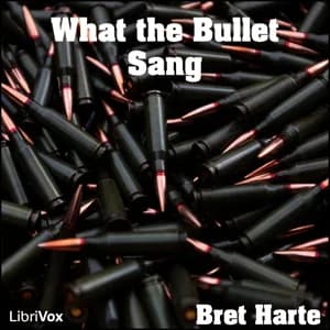What the Bullet Sang