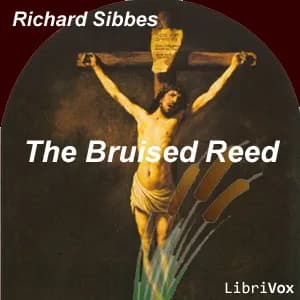 Bruised Reed