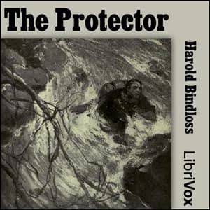 Protector