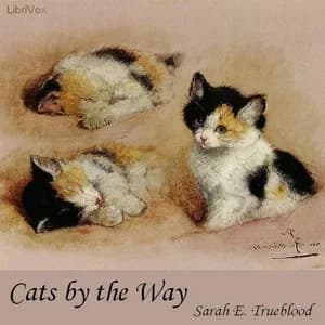 Cats by the Way