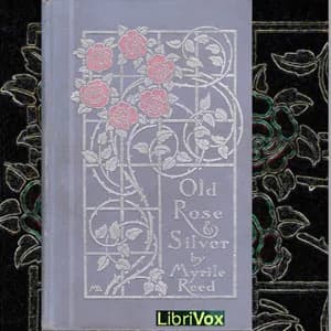 Old Rose And Silver