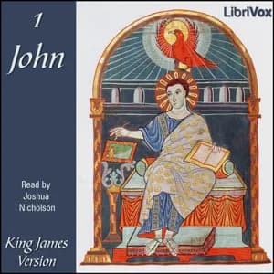 Bible (KJV) NT 23: 1 John
