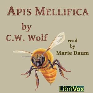 Apis Mellifica
