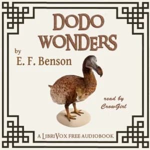 Dodo Wonders