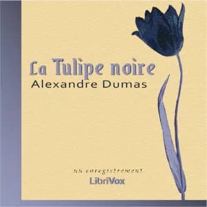 Tulipe noire