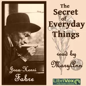 Secret of Everyday Things