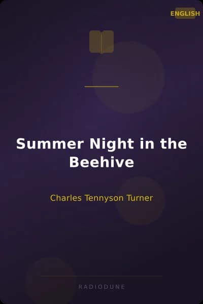 Summer Night in the Beehive