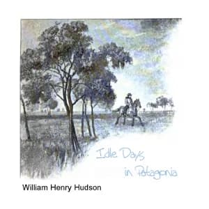 Idle Days in Patagonia