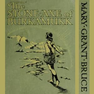 Stone Axe Of Burkamukk