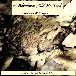 Adventures of Old Mr. Toad