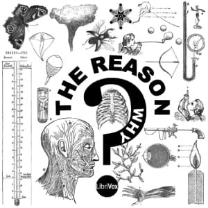 Reason Why