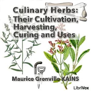 Culinary Herbs: Their Cultivation, Harvesting, Curing and Uses