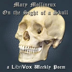 On the Sight of a Skull