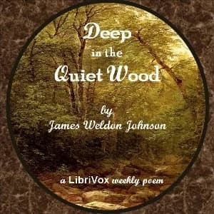 Deep In The Quiet Wood