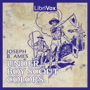 Under Boy Scout Colors