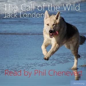 Call of the Wild (version 4)
