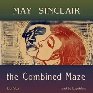 Combined Maze