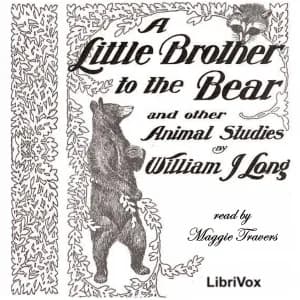 Little Brother to the Bear