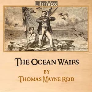 Ocean Waifs
