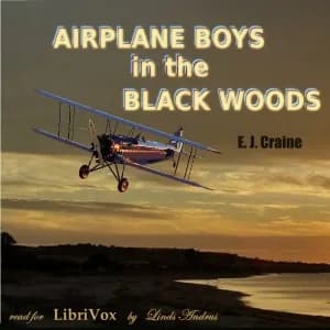 Airplane Boys in the Black Woods